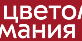 Цветомания — проект Zus